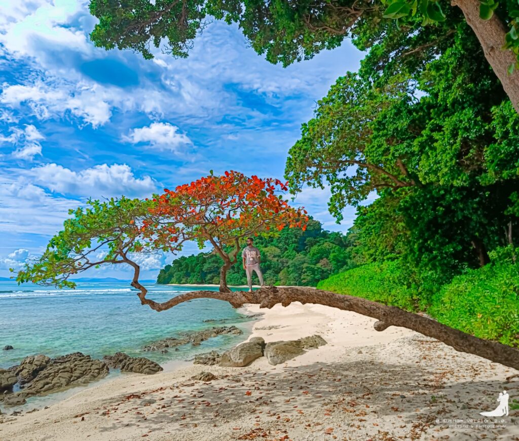 Best Seller Andaman Tour 4 Nights & 5 Days Package